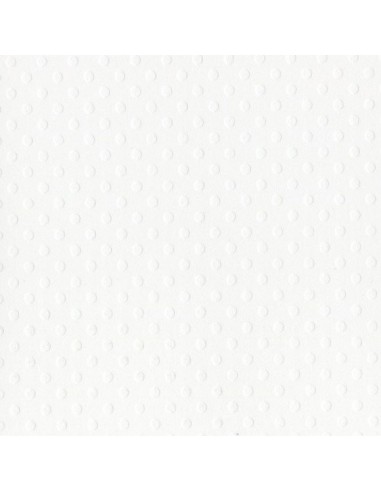 Cartulina textura Dot Swiss 30,5x30,5cm Color Blanco Sal