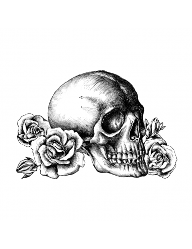 Skull n Roses